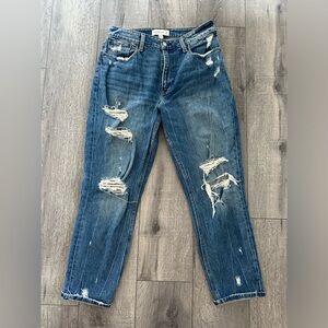 Abercrombie & Fitch Curve Love High Rise Mom Jean